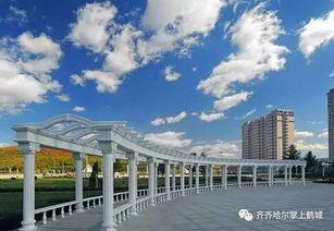 七台河最新爆料,揭秘神秘事件背后的真相