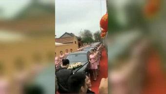 燕子最新爆料,娱乐圈最新爆料大揭秘！